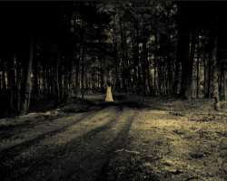 The ghost of a woman wearing gray is also seen by some visitors. It is also said that the atmosphere of these forests is so bad that many visitors los